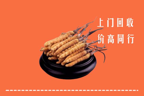 高价求购：河源和平回收散虫草