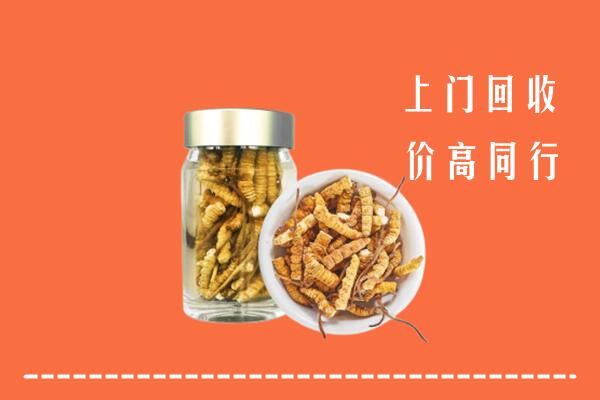 河源和平回收冬虫夏草