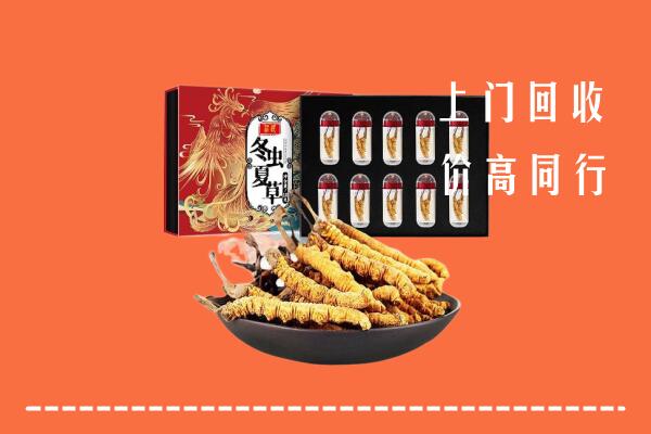 河源和平回收虫草